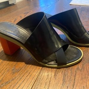 María Cornejo mules